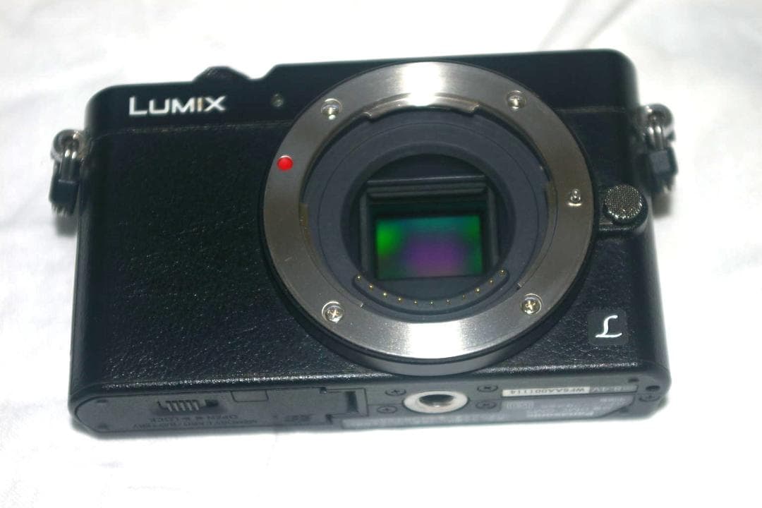 H*。様 レンズ付パナソニック Panasonic GM5 キット　黒 DMC-