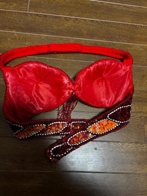 ベリーダンス ISIS YO Belly Dance Costume