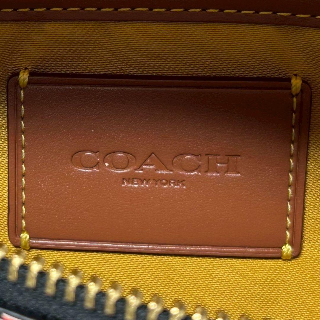 限定品/未使用級✨コーチ ディズニー ミッキー ボディバッグ 斜め掛け ボーダー