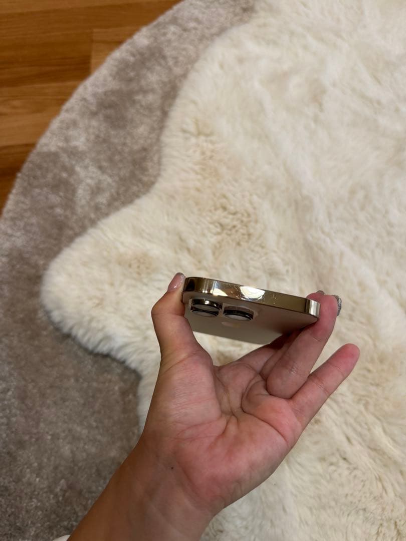 右京　Apple iPhone 14 Pro ゴールド 本体