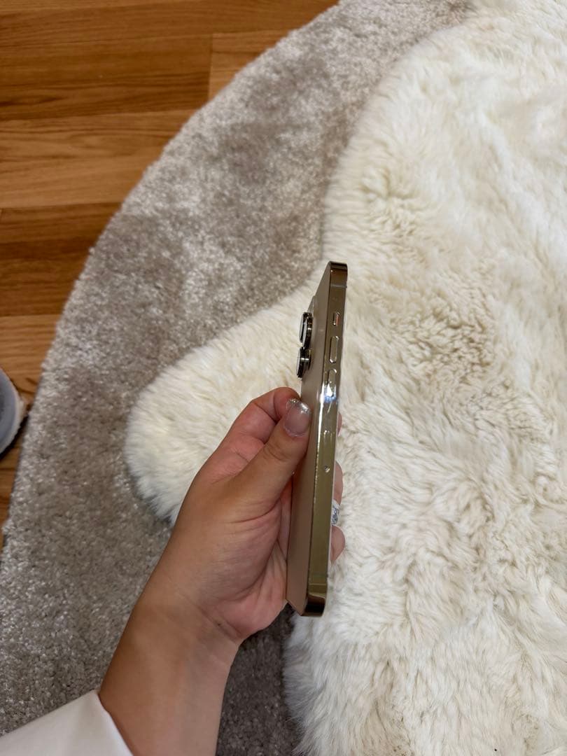 右京　Apple iPhone 14 Pro ゴールド 本体