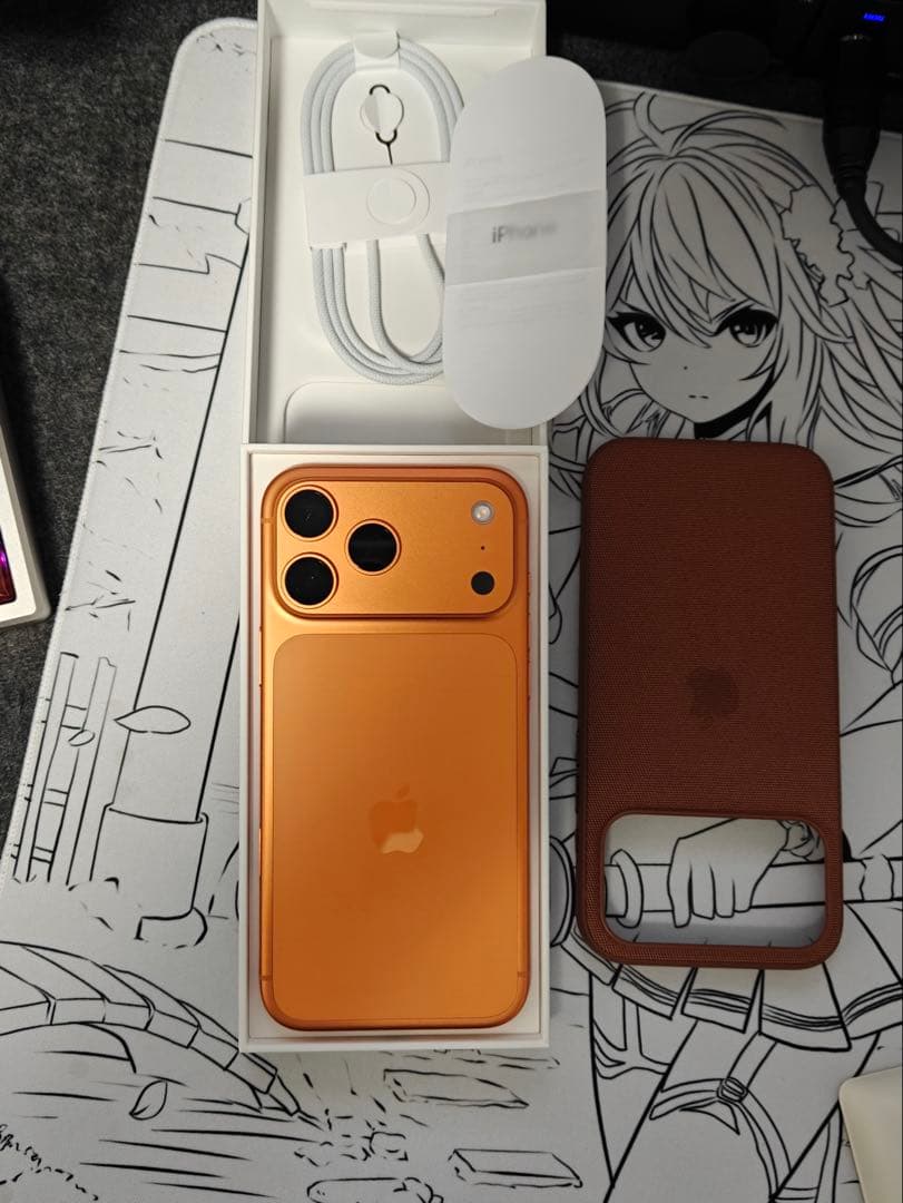 Apple iPhone17promax 256gb 香港版