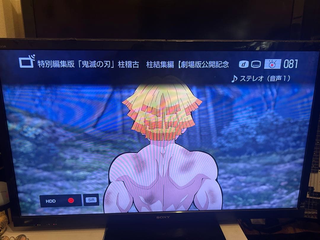 ひ*ろ様 即日発送 SONY BRAVIA KDL-55HX80R 55インチ液