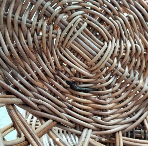 頑丈なかごバスケット２点　ランドリーバスケット