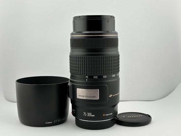 ★美品★キヤノン CANON EF 75-300mm F4-5.6 IS USM