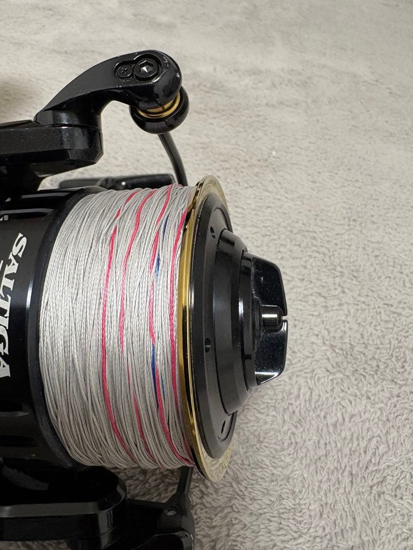 ダイワ ソルティガ Dogfight 7000H の出品です。