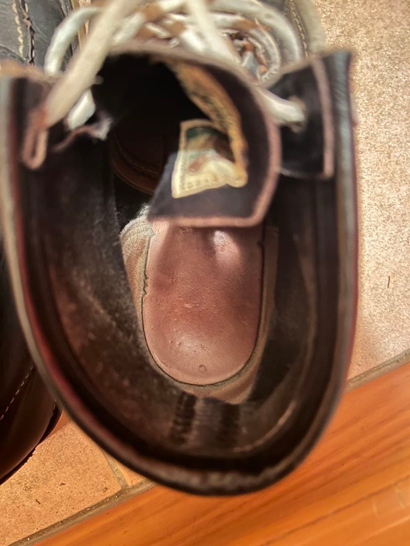 Z*s様 REDWING IrishSetterSportBoot8179黒モッ