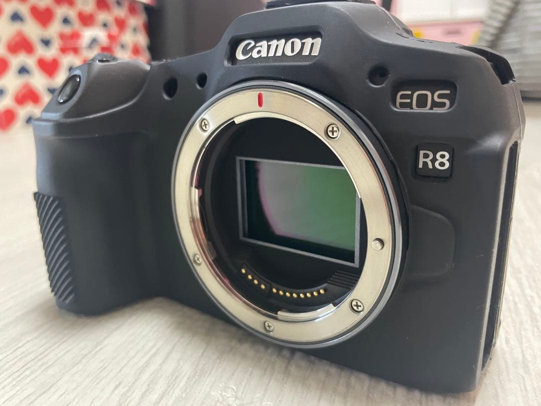 【桜さん専用】Canon EOS R8