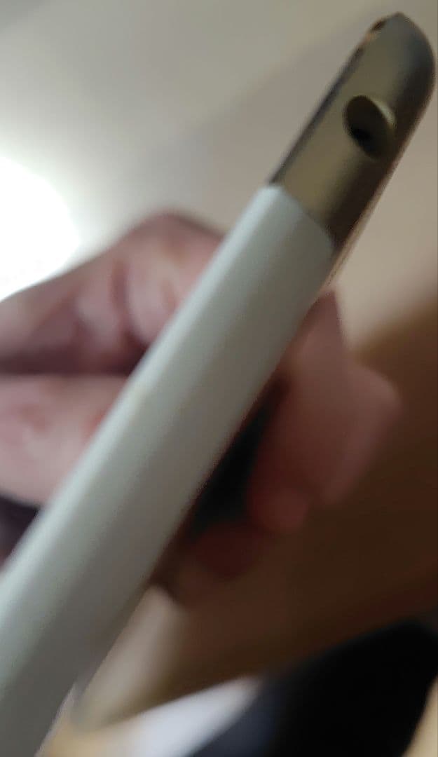 iPadmini 第4世代 Wi-Fi + Cellular au版 ケース付