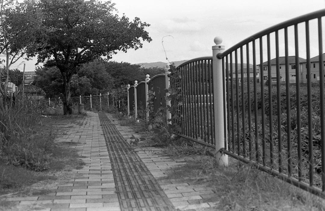 【整備済完動品・美品】PENTAX K1000 RIKENON 50mm F2