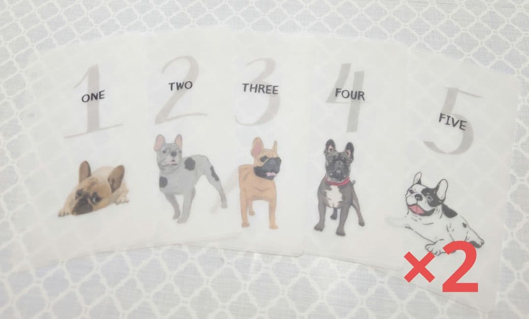 maruko.　30DaysSavingChallengeリフィル2セット