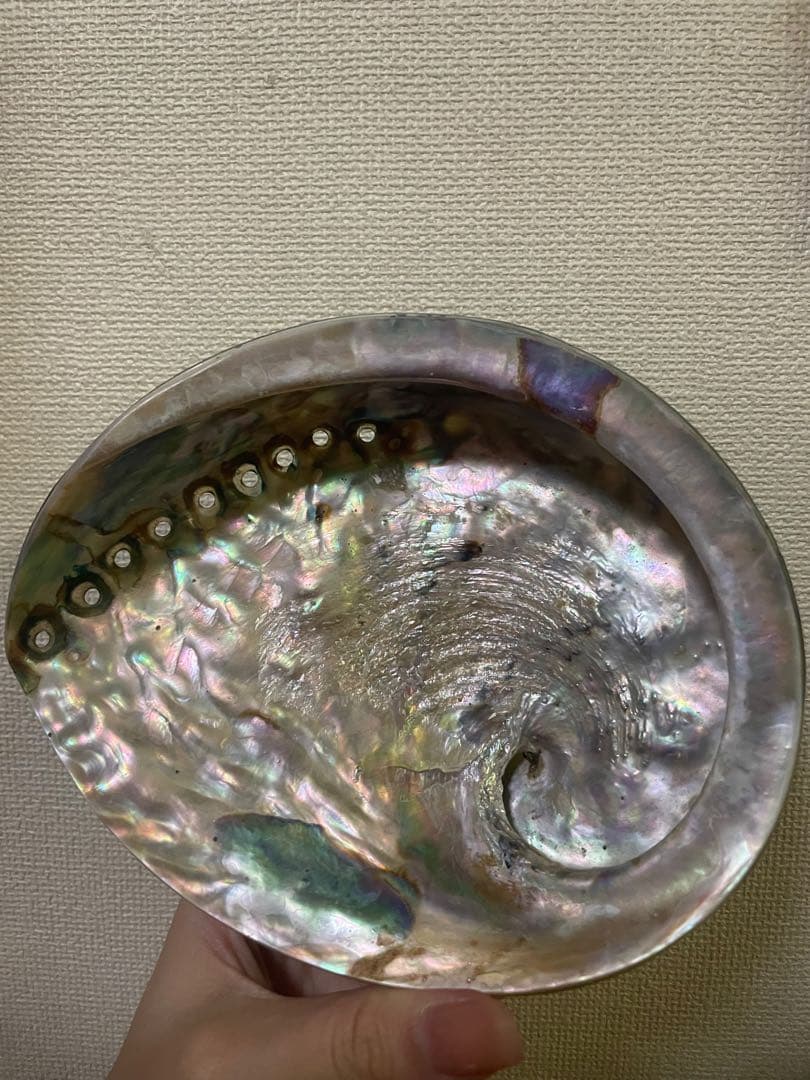 貝殻　ターコイズブルー　夜光貝　アバロンシェル　トレイ