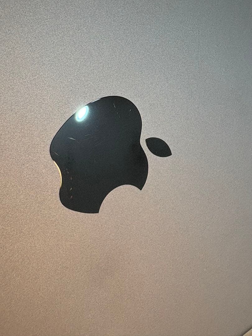 【即日発送】iPad Pro (A1709)64GB