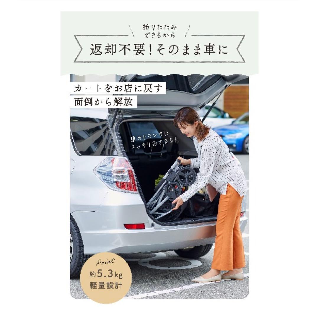 美品　EcoCa エコカ　ショッピングカート　マイバスケット　シルバーカー