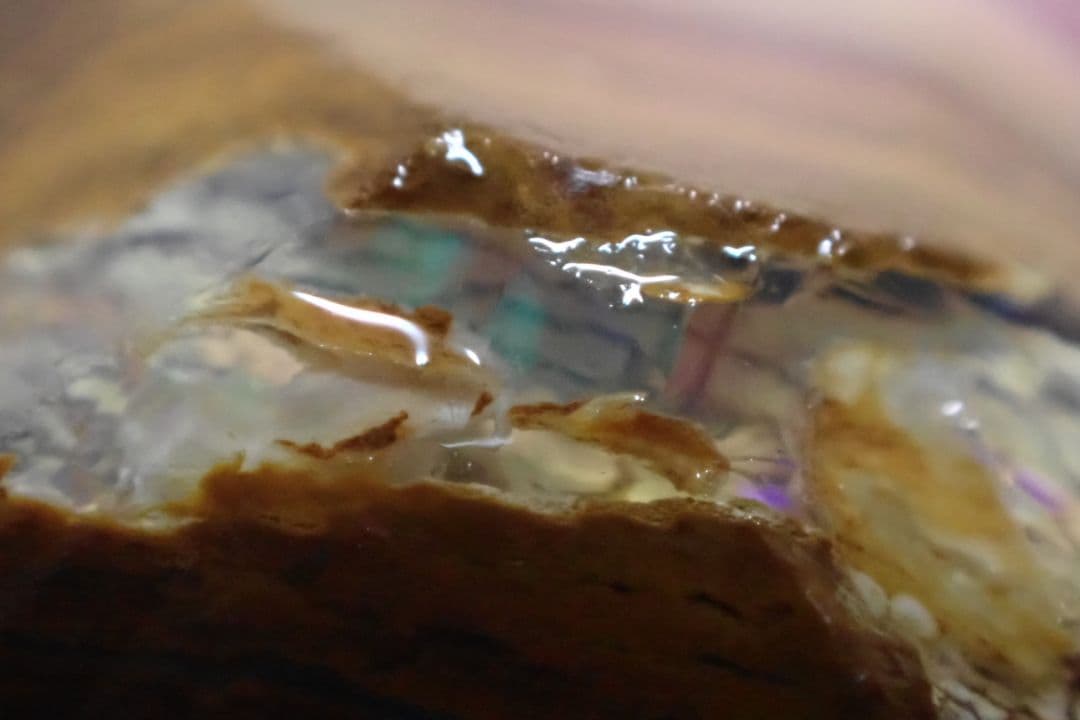 ウッドオパール　原石　オーストラリア　送料無料