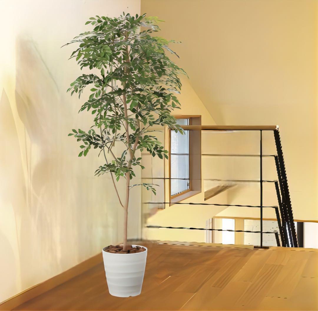 光触媒　人工観葉植物　ウォールグリーン　フェイクグリーン　トネリコ180