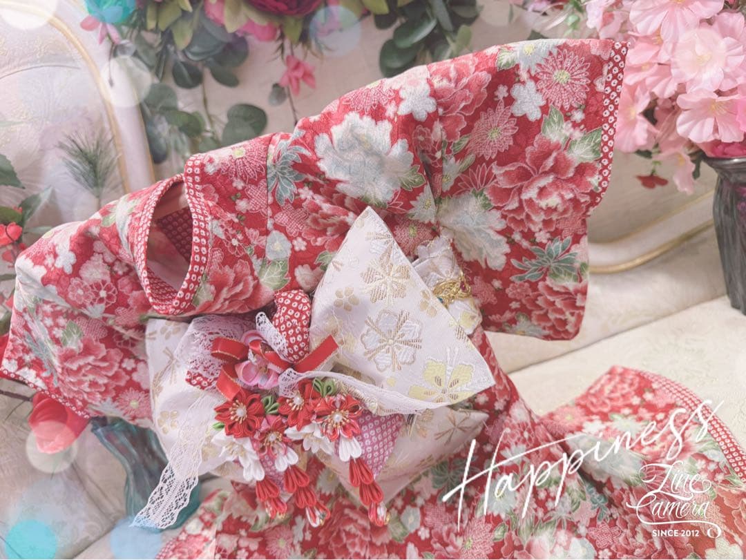 B419.pon2pan2☆オーダー☆犬着物☆犬2ウェイ着物☆犬お引き摺り着物