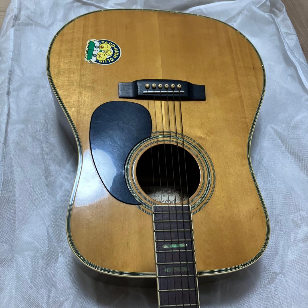み*ん様 Pro Martin 縦ロゴ W-300 アコースティックギター ビン