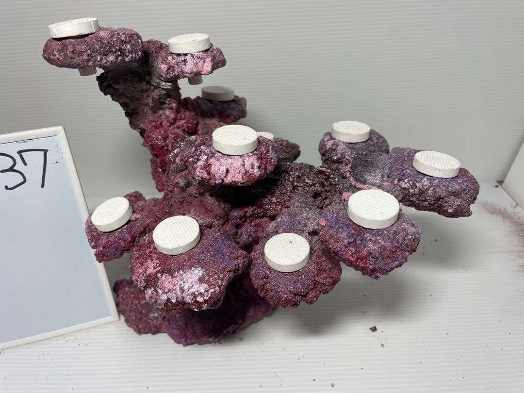 【送料無料】人工ライブロック　PHR37／11穴加工　アク抜き済み安心塗料使用