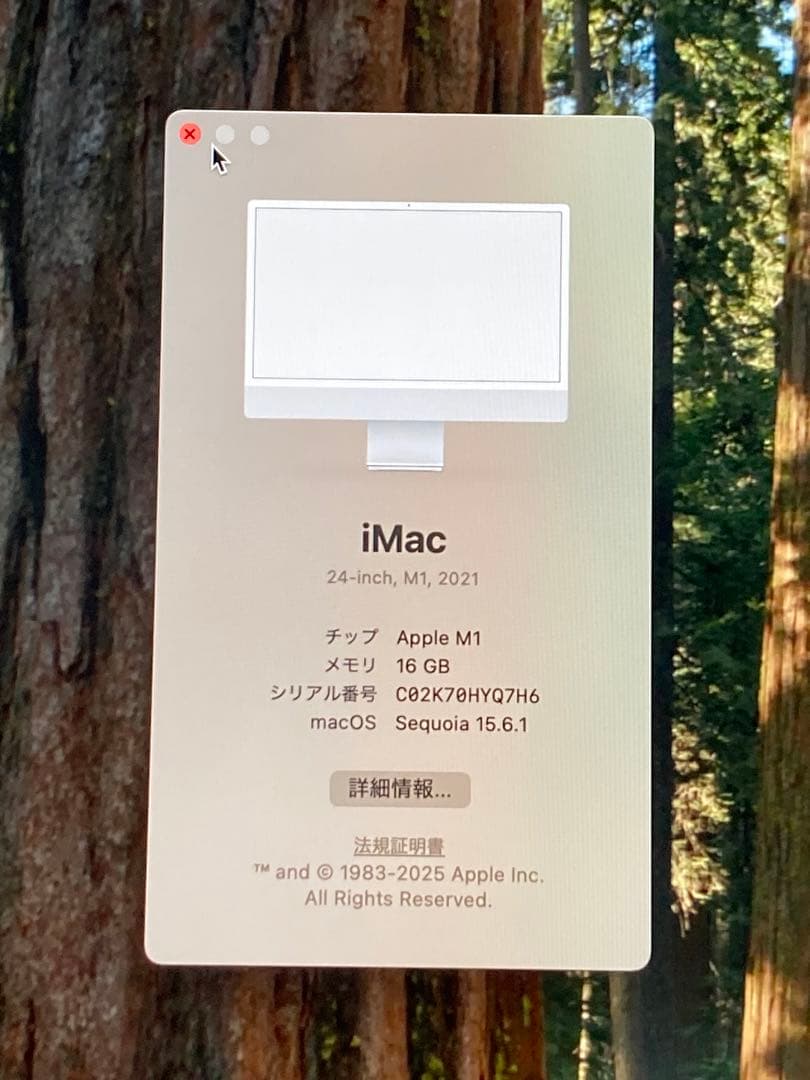 Macデスクトップ iMac 2021 M1 24-inch 16GB/256GB