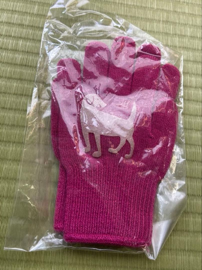 革の犬用リードと軍手はおまけに！