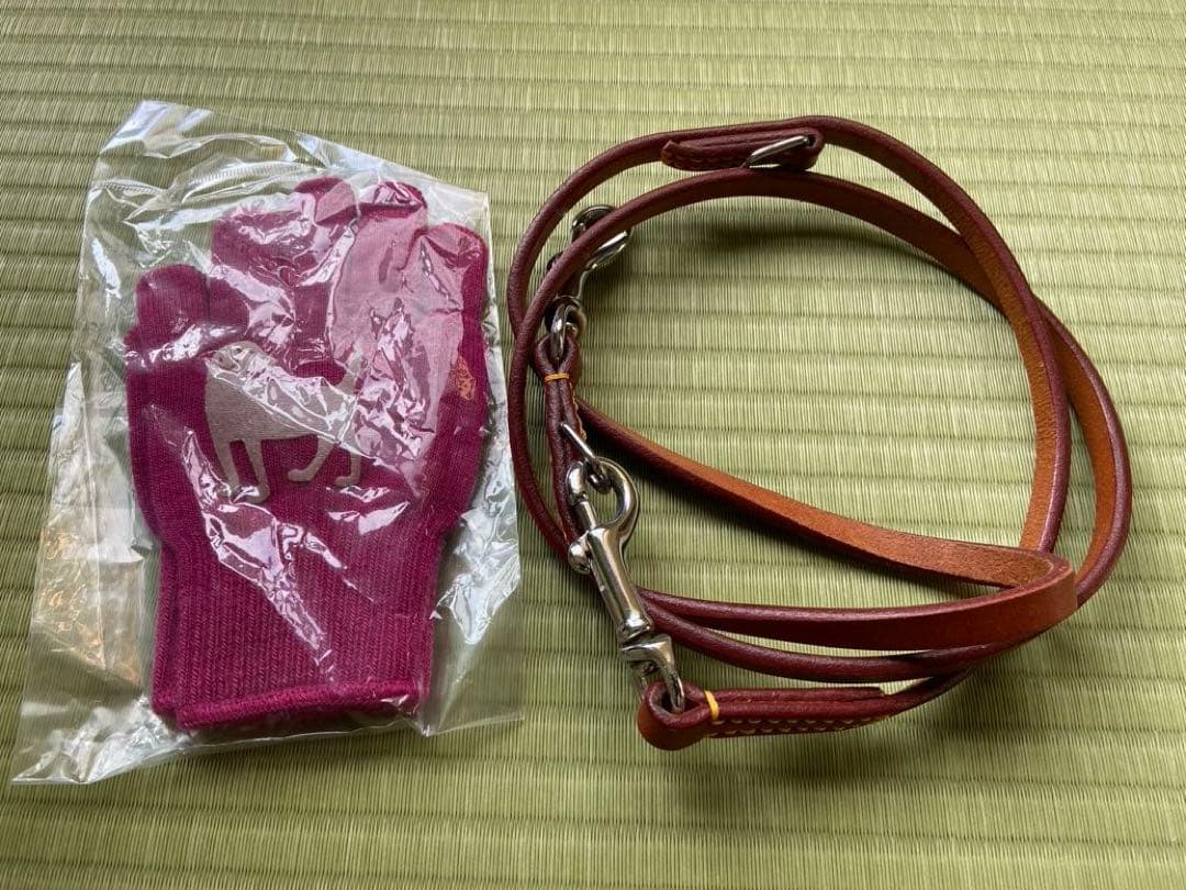 革の犬用リードと軍手はおまけに！