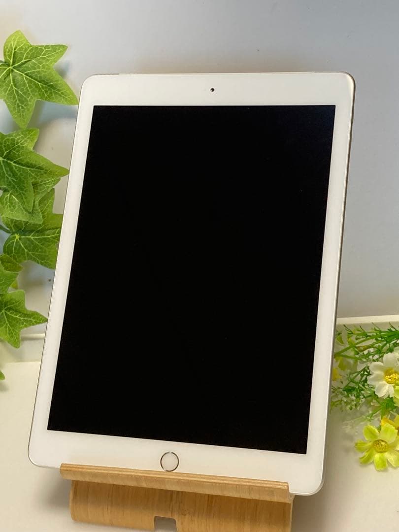 iPad 第5世代 Wi-Fi+Cellular 32GB ドコモ SIMフリー