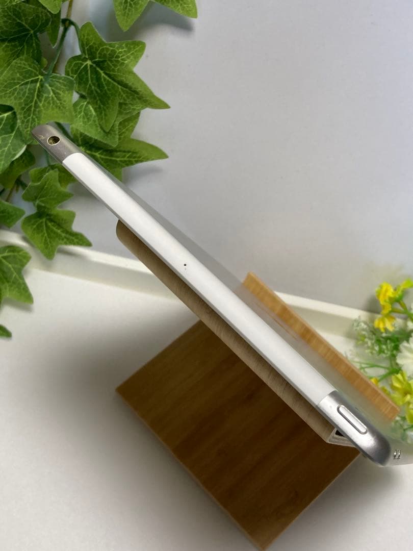 iPad 第5世代 Wi-Fi+Cellular 32GB ドコモ SIMフリー