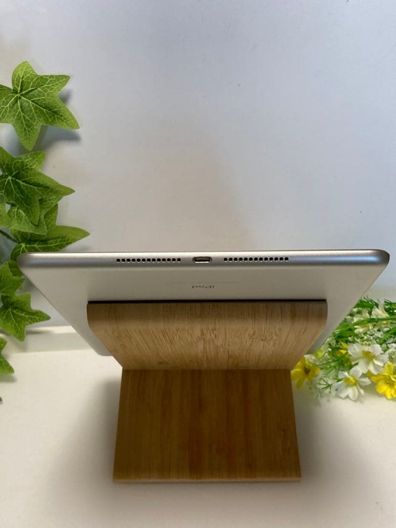 iPad 第5世代 Wi-Fi+Cellular 32GB ドコモ SIMフリー