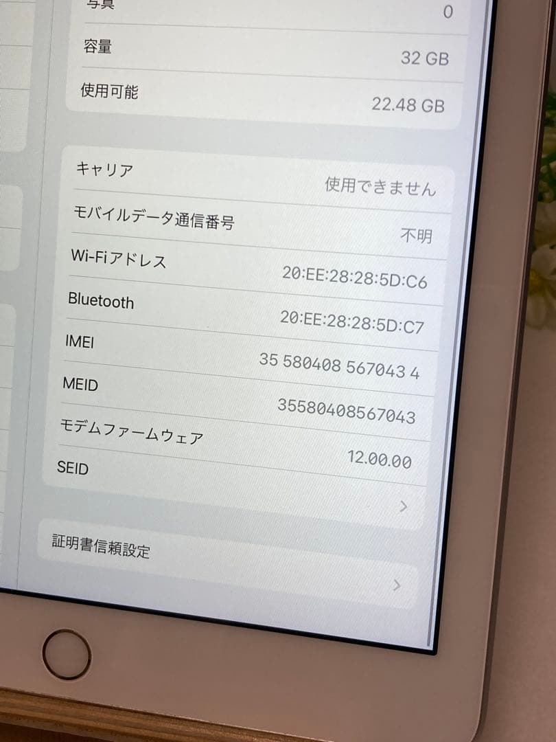 iPad 第5世代 Wi-Fi+Cellular 32GB ドコモ SIMフリー