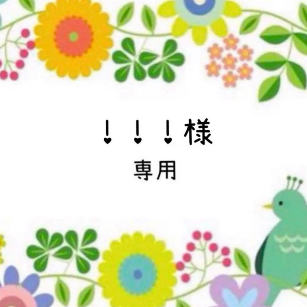 オーダー★あみぐるみ(3点)★インコ・キツネ