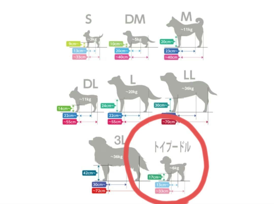 リラクッション　トイプードルサイズ