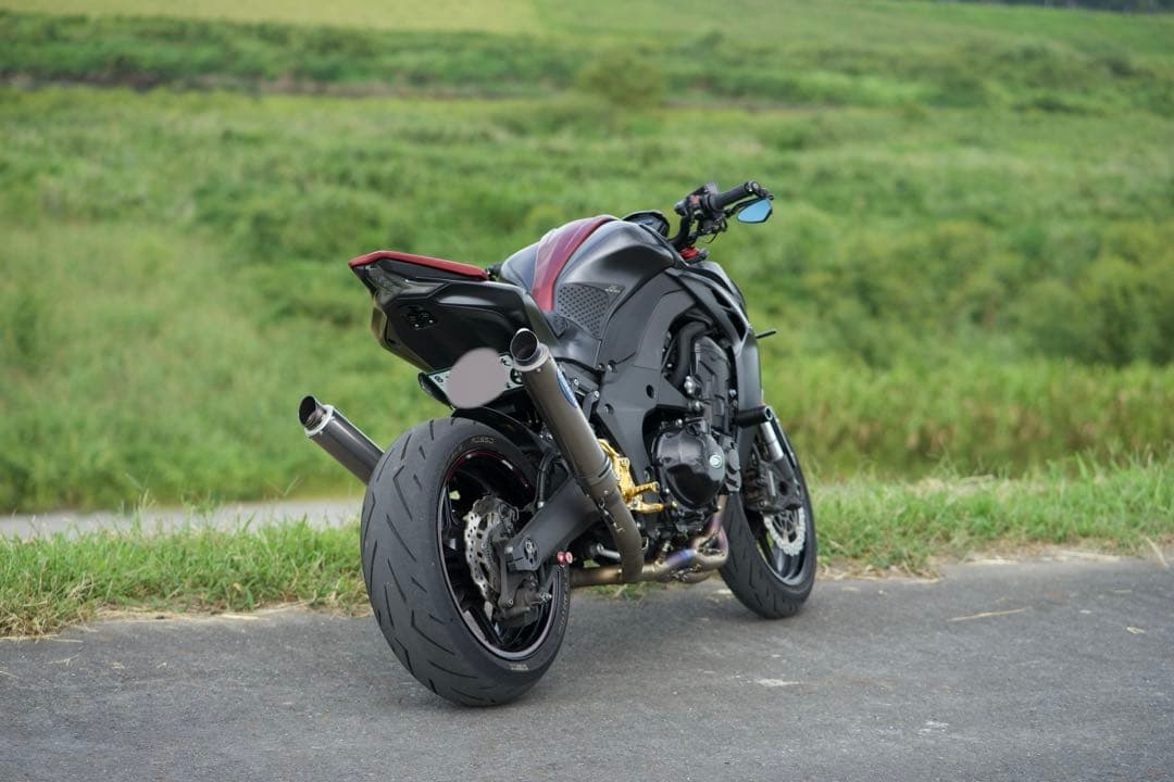 マーベリック フルエキ z1000 ninja1000