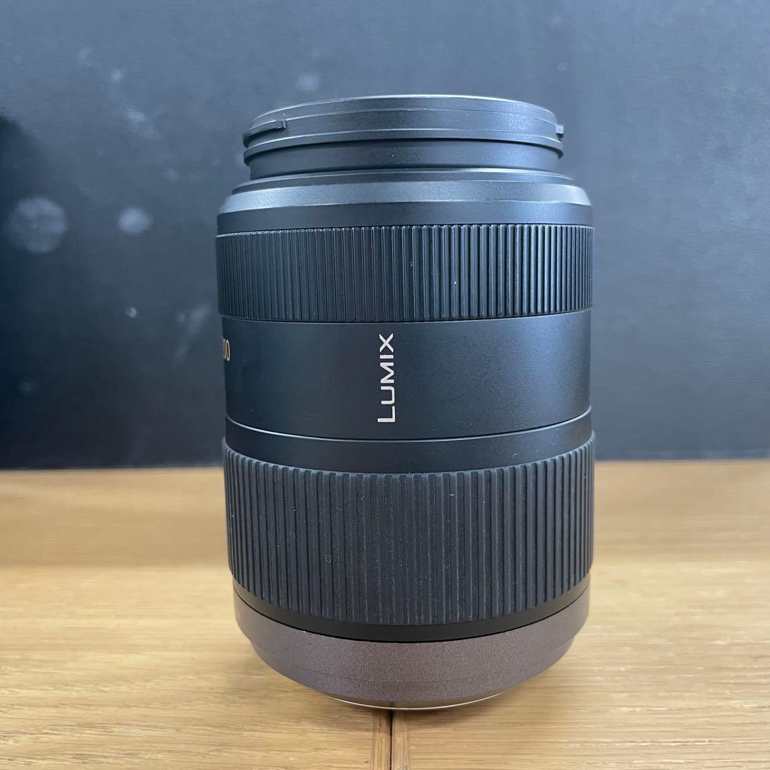 動作品 Lumix G 45-200mm F4-5.6 H-FS045200