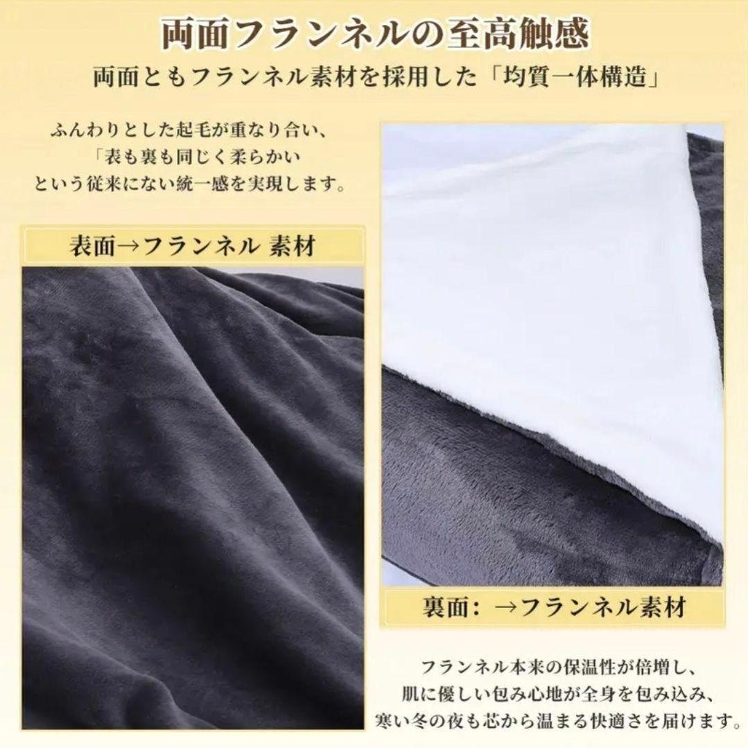 炎獅子ページ 電気毛布 セミダブルサイズ