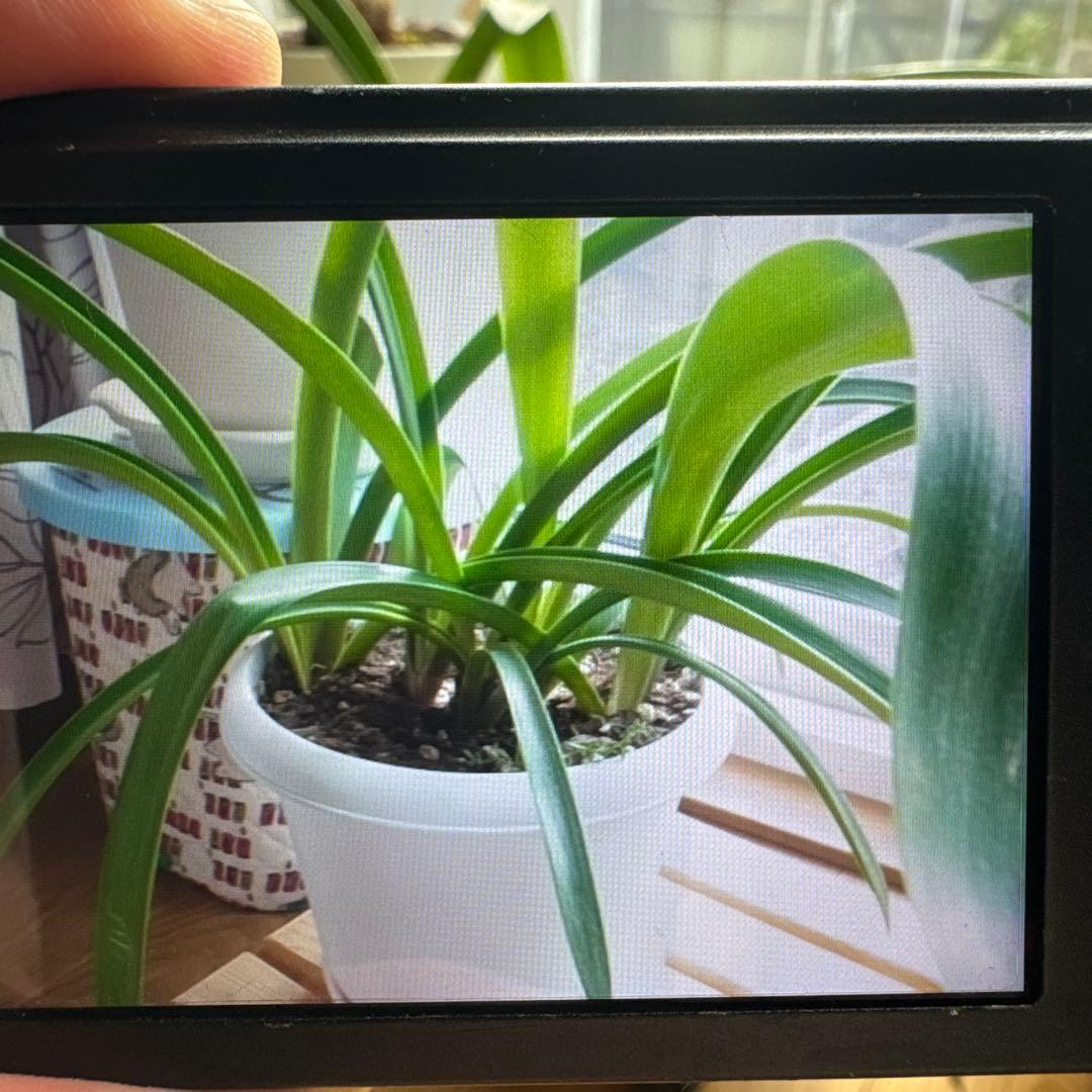 B192 RICOH CX4 コンパクト デジタル カメラ デジカメ コンデジ