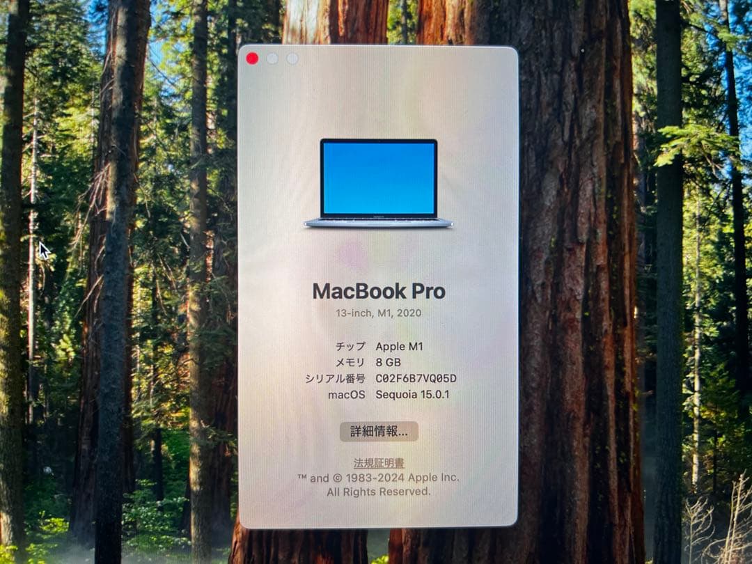 MacBook Pro 13-inch M1 2020★バッテリー最大容量94%