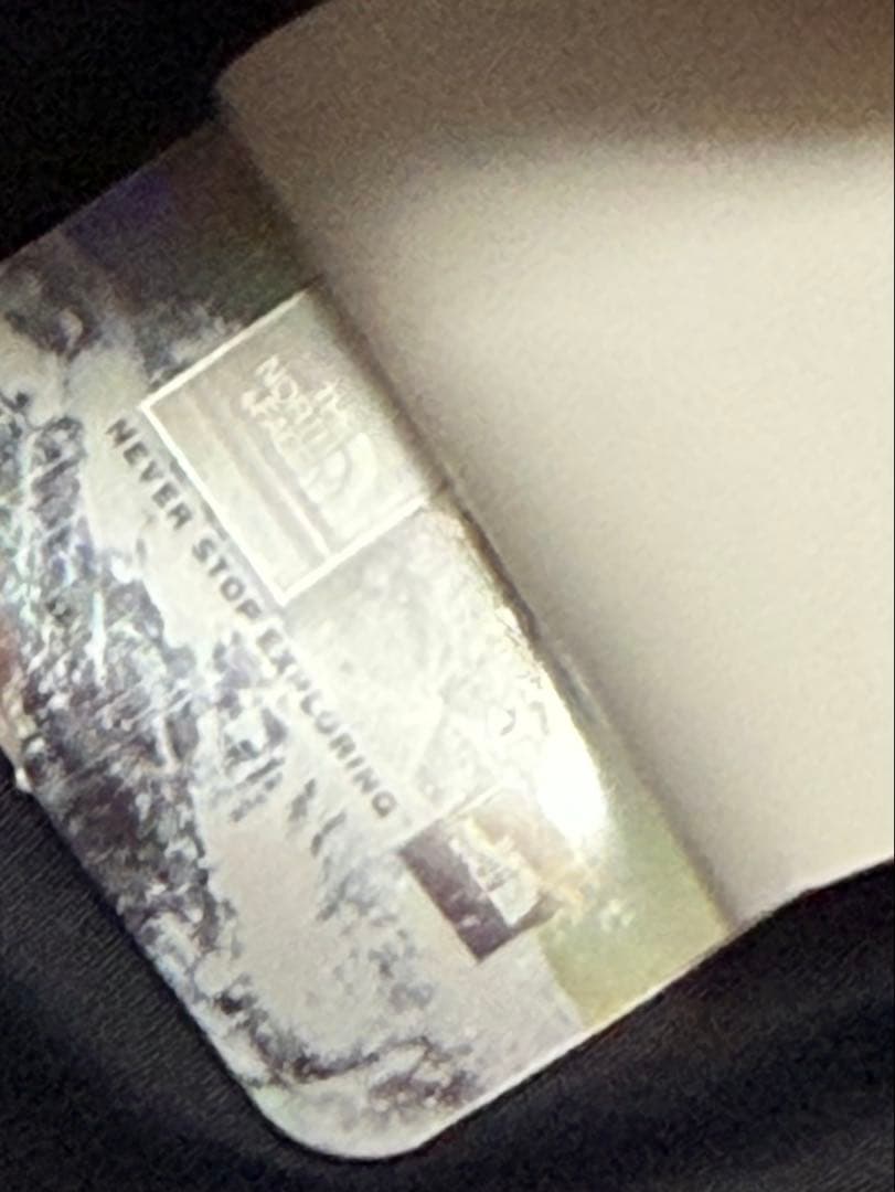 【M】US規格 THE NORTH FACE ダウンジャケット 700FP