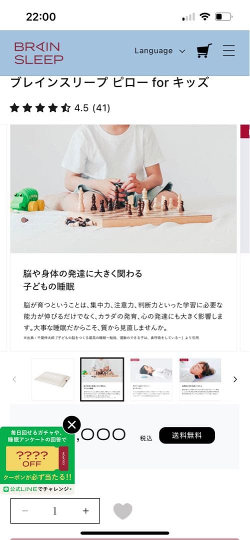 【美品】ブレインスリープ ピロー キッズ / ほぼ未使用 / 専用バッグ付