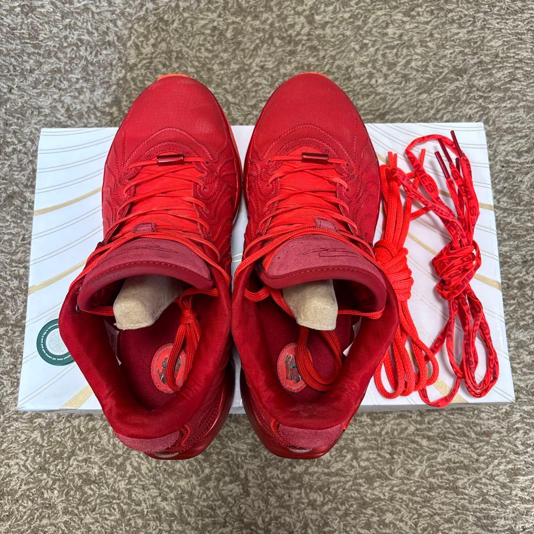 NIKE LEBRON XXⅡ EP 28.5cm