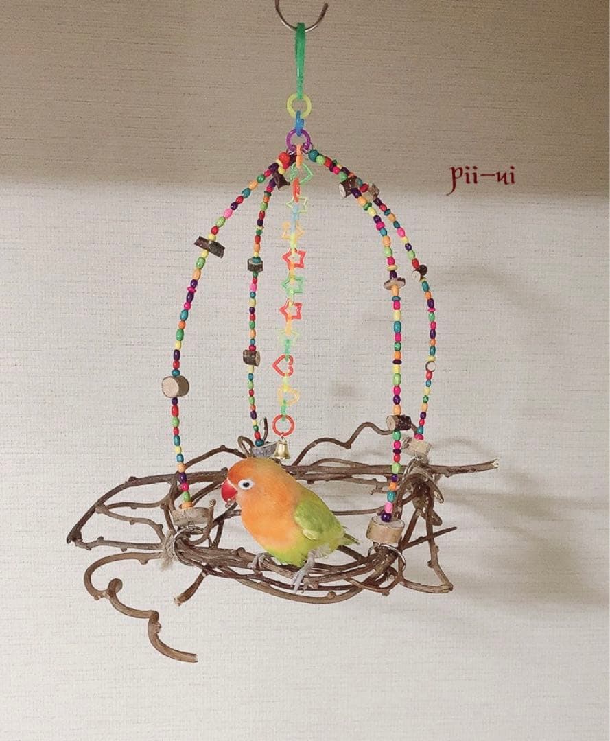 カラフルウッドブランコ♪キウイのツルஐ