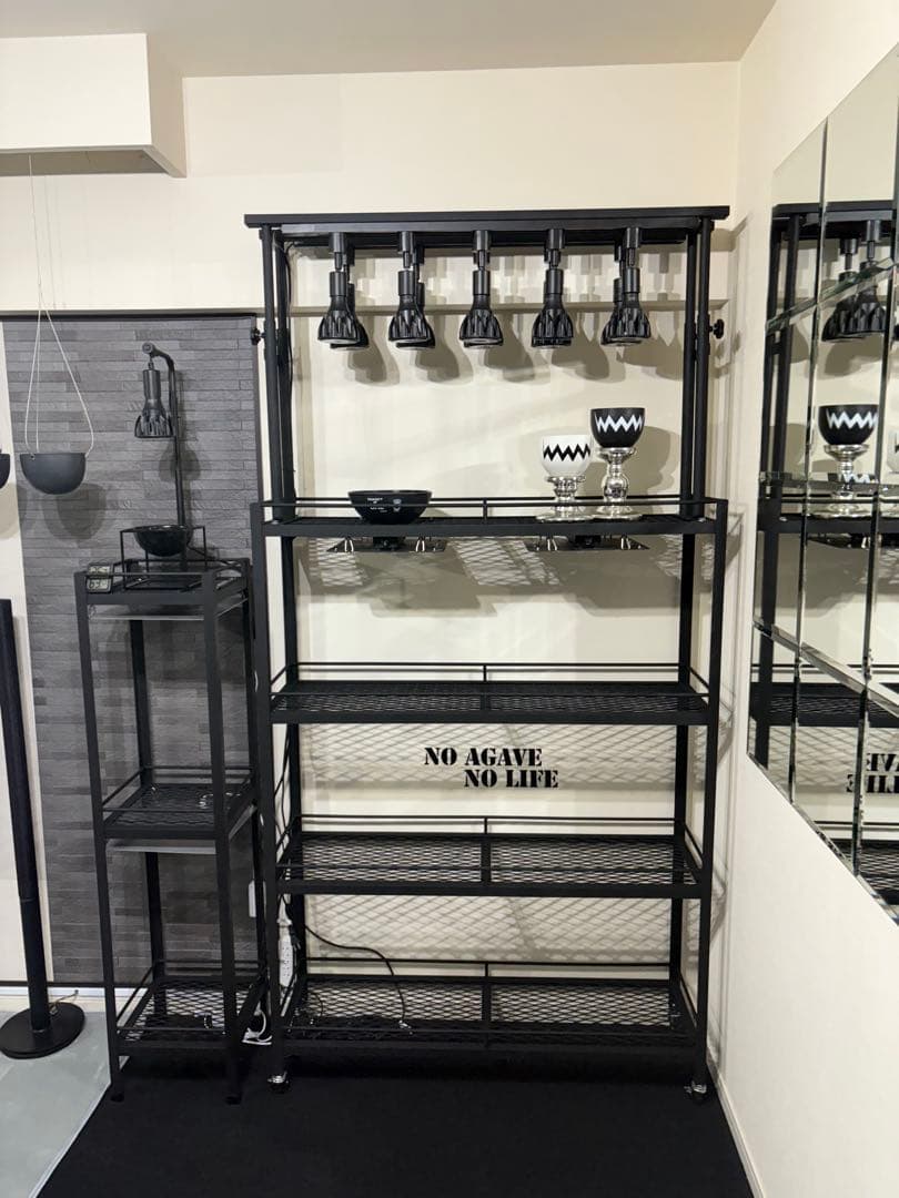 キャスター付植物棚　アイアン棚　パキプス　アイアンシェルフ　アガベ