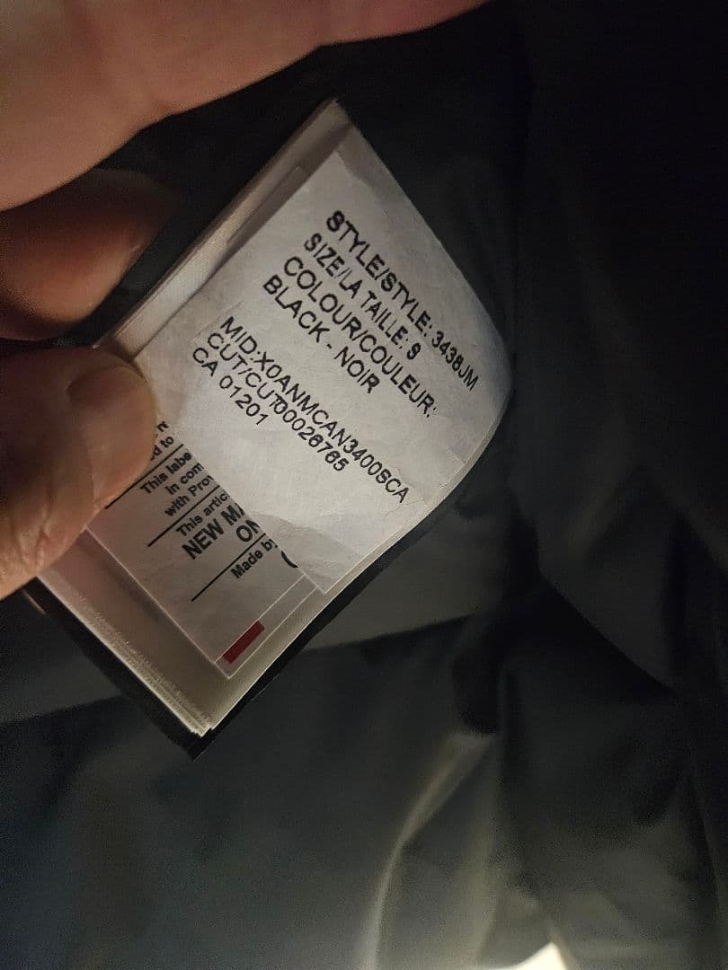 カナダグース　ジャスパー