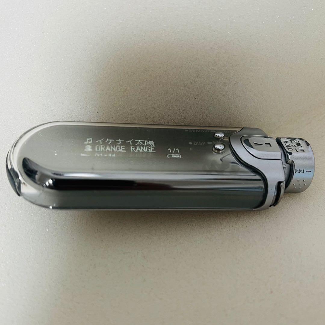 SONY ウォークマン NW-E507 スパークリングシルバー 現状品 ポーチ付