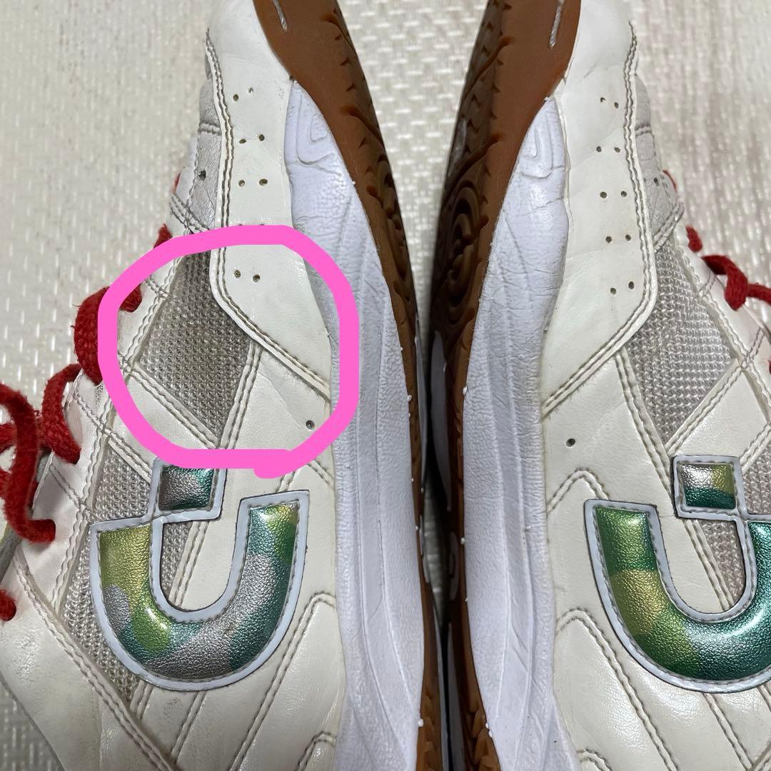 Desporte テッサライトID PROⅡ