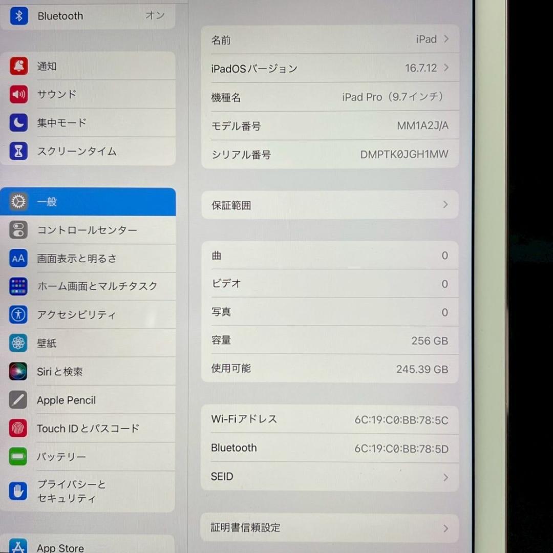 Apple iPad Pro 第8世代 A1673 MM1A2J/A 256GB