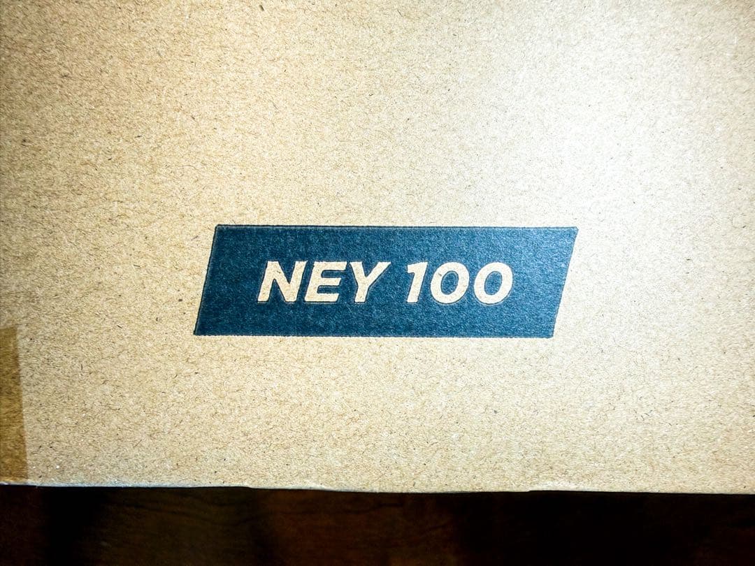 新品✨ EUREKA リンサークリーナー NEY100 強力吸引 カーペット洗浄