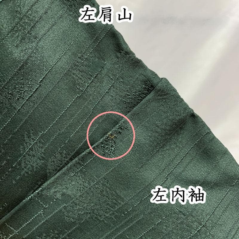 511mi77☆三松取扱い 色無地 地紋 木々 森林 深緑 黒緑☆美品