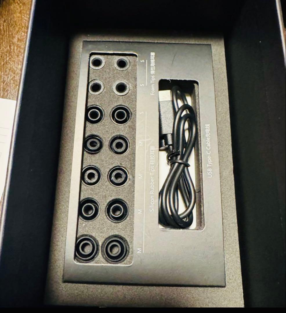 ほぼ新品HIFIMAN Swan Ear Wireless ワイヤレスイヤホン