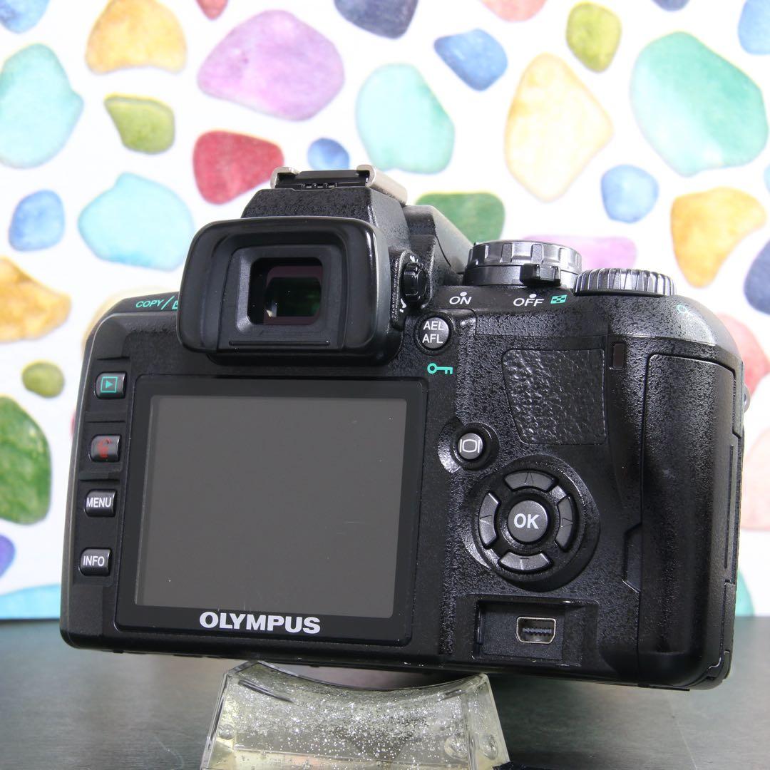 ♥◇やっぱりオリンパス♪ ◇OLYMPUS E-410 ◇高性能一眼レフ